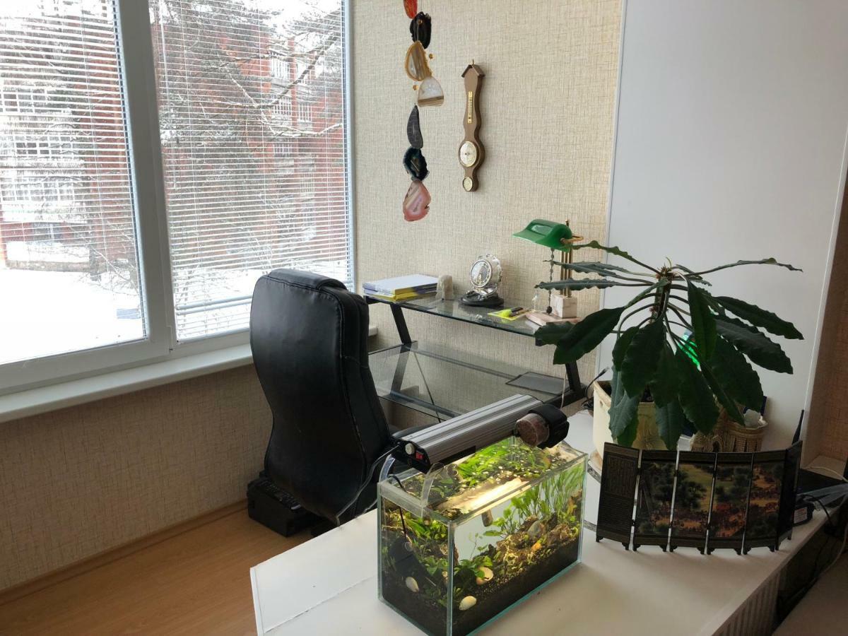 Visagino Apartment ヴィサギナス エクステリア 写真